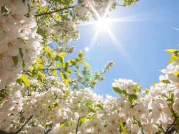 Сьогодні в Україні буде по-літньому тепло