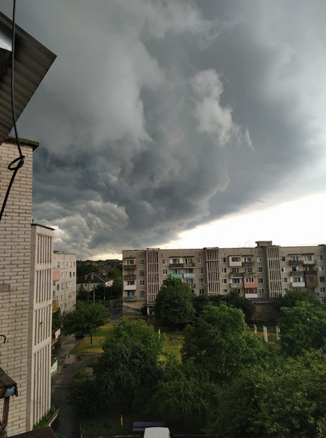 Оксана Ільченко Павлишин