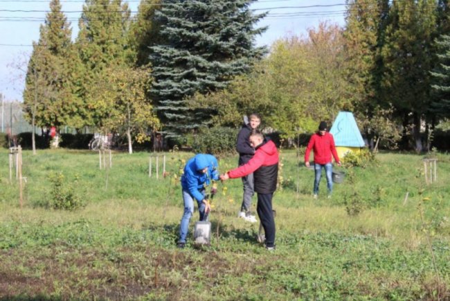 На Любомльщині учні озеленили шкільні двори. ФОТО