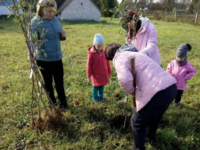 На Любомльщині учні озеленили шкільні двори. ФОТО