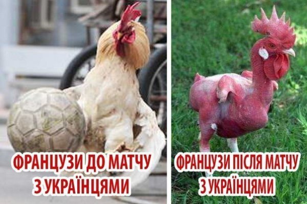 Фотожаби і меми про матч Україна – Франція. ФОТО