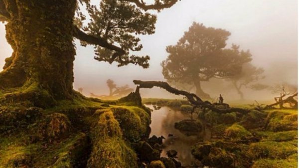 Фото Карпат потрапило у ТОП-10 найкращих робіт міжнародного конкурсу