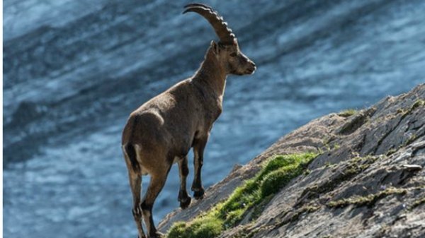 Фото Карпат потрапило у ТОП-10 найкращих робіт міжнародного конкурсу