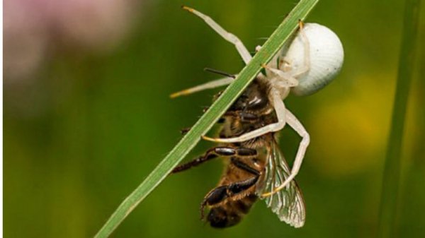 Фото Карпат потрапило у ТОП-10 найкращих робіт міжнародного конкурсу