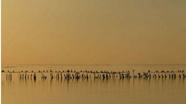 Фото Карпат потрапило у ТОП-10 найкращих робіт міжнародного конкурсу