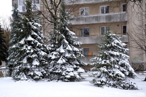 Фото снігового ранку в Луцьку