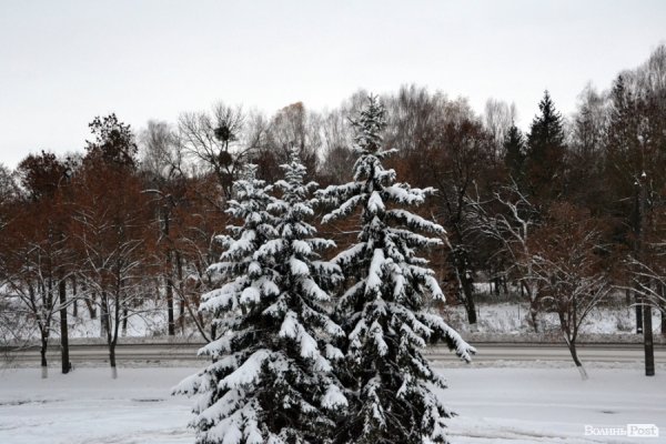 Фото снігового ранку в Луцьку