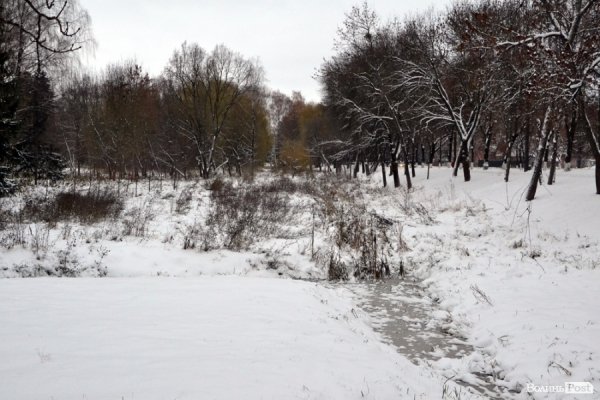 Фото снігового ранку в Луцьку