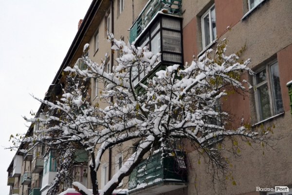 Фото снігового ранку в Луцьку