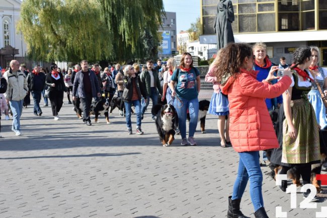 У Луцьку влаштували перший в Європі парад-фестиваль бернських зенненхундів. ФОТО