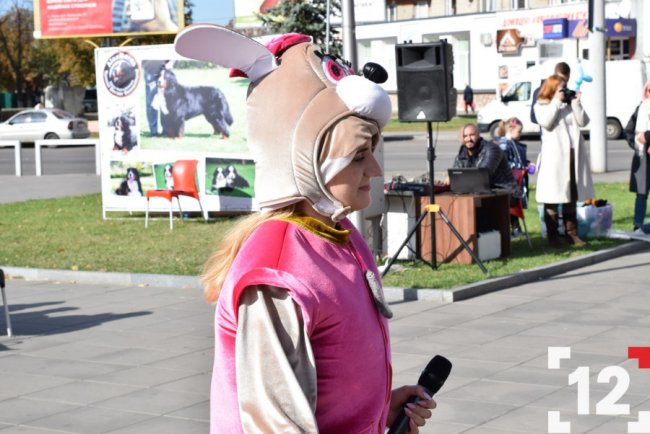 У Луцьку влаштували перший в Європі парад-фестиваль бернських зенненхундів. ФОТО