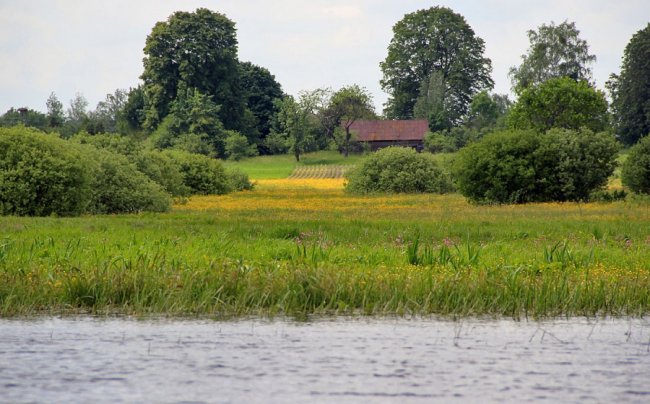 Волинський фотограф показав красу «високої води» річки Стохід. ФОТО