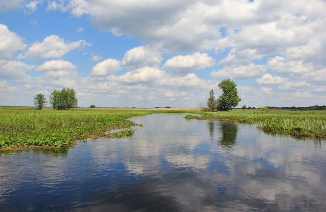 Волинський фотограф показав красу «високої води» річки Стохід. ФОТО