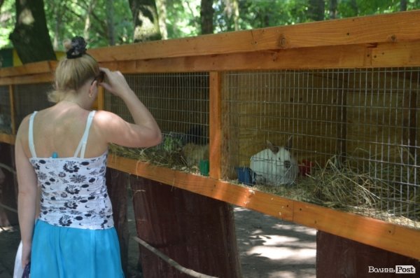 Благодійна акція у Луцькому зоопарку. ФОТО