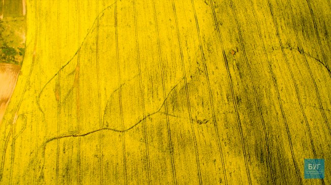 Різнобарвні краєвиди Волині з висоти пташиного польоту. ФОТО. ВІДЕО