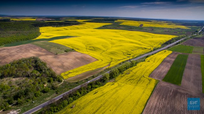 Різнобарвні краєвиди Волині з висоти пташиного польоту. ФОТО. ВІДЕО