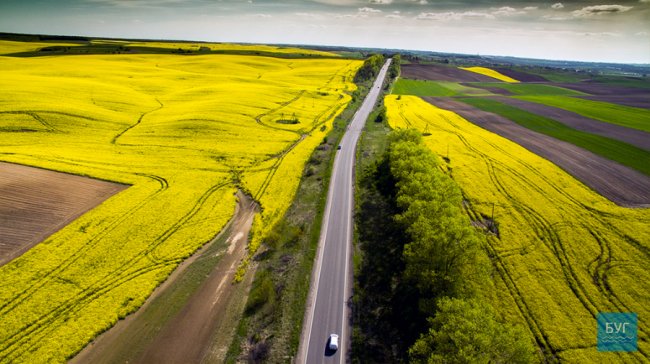 Різнобарвні краєвиди Волині з висоти пташиного польоту. ФОТО. ВІДЕО