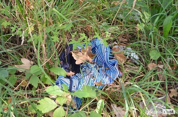 Луцький парк перетворився на смітник, бо нікому доглядати. ФОТО