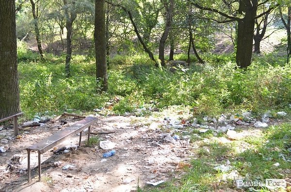 Луцький парк перетворився на смітник, бо нікому доглядати. ФОТО