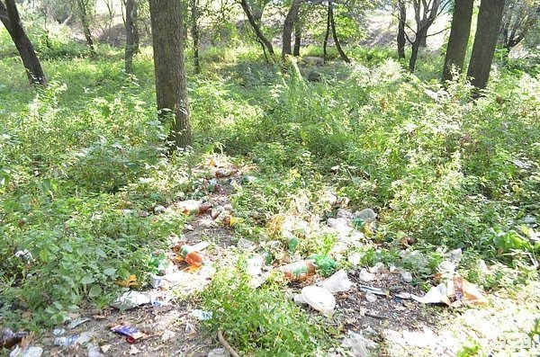 Луцький парк перетворився на смітник, бо нікому доглядати. ФОТО