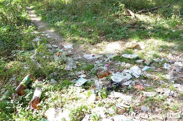 Луцький парк перетворився на смітник, бо нікому доглядати. ФОТО