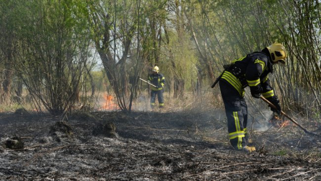 У Луцьку – пожежа сухостою на Гнідавському болоті