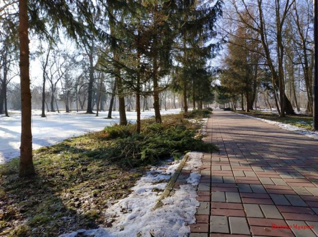 Луцький фотограф показав, де «лютневе сонечко лоскоче вії»