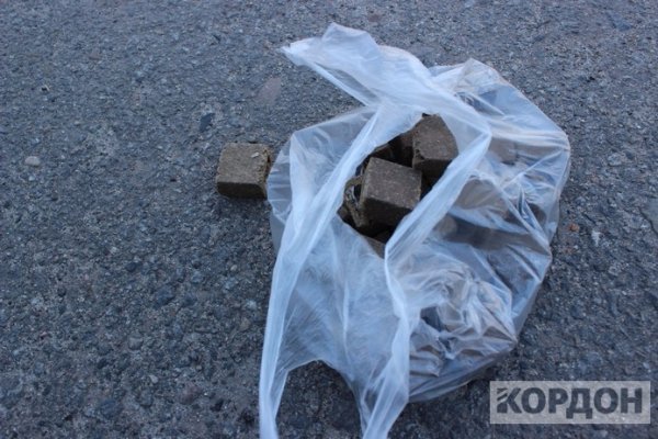 На Волині диких тварин вакцинують проти сказу: задіяли літаки