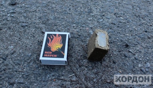 На Волині диких тварин вакцинують проти сказу: задіяли літаки