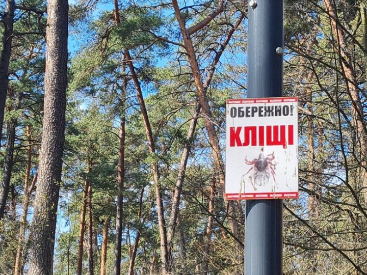 23-річний волинянин захворів на кліщовий енцефаліт