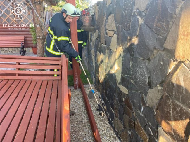 У селі біля Луцька на подвір’ї будинку спіймали змію. ФОТО
