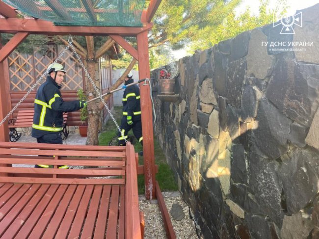 У селі біля Луцька на подвір’ї будинку спіймали змію. ФОТО