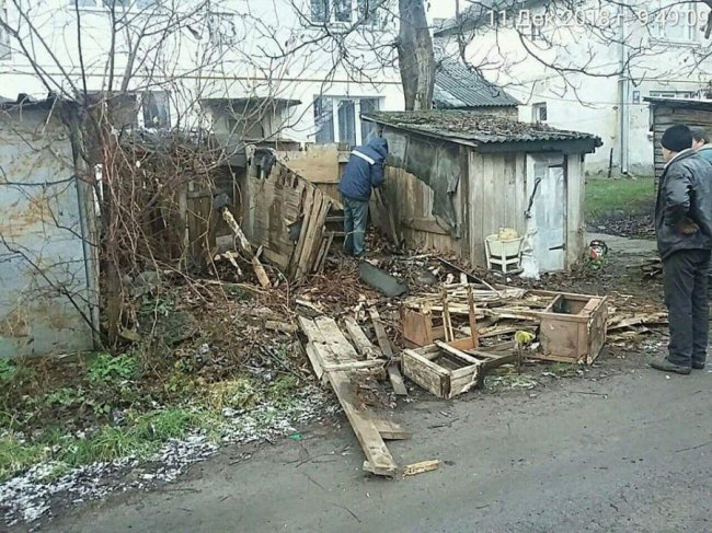 Демонтаж сараїв у Луцьку: вивезли вантажівку гнилого дерева. ФОТО
