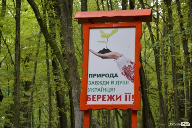 Краса воротнівського лісу: у «Малій Швейцарії» відкрили центр для юних лісівників 