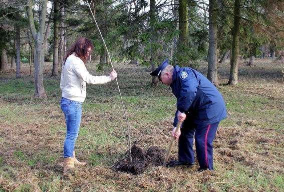 Як луцька міліція садила дерева. ФОТО