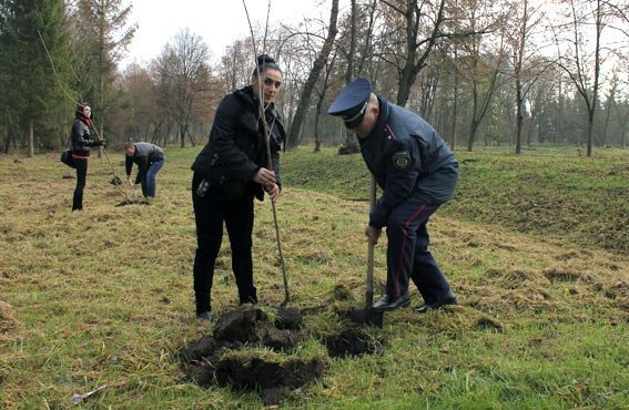 Як луцька міліція садила дерева. ФОТО