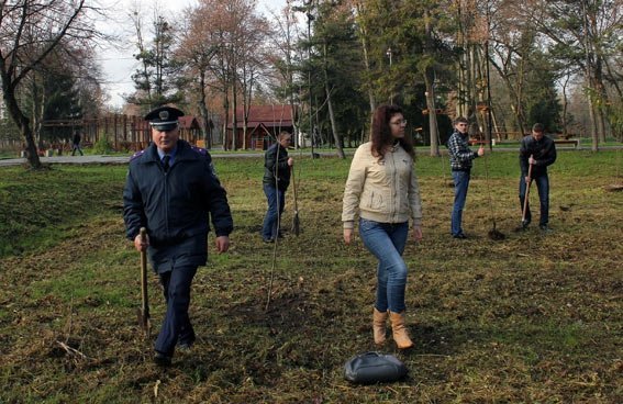 Як луцька міліція садила дерева. ФОТО
