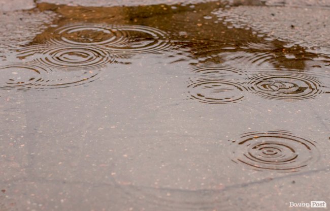 Парасольки і калюжі: дощовий день у Луцьку. ФОТО