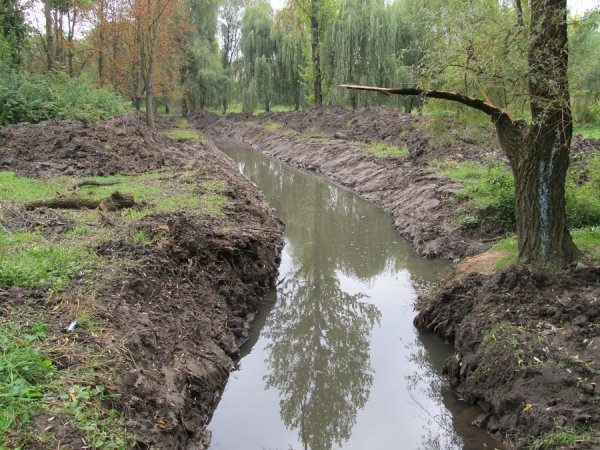 Як у Луцьку чистять Сапалаївку. ФОТО