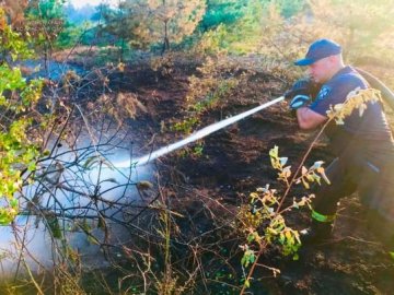На Волині за добу погасили 4 пожежі. ФОТО