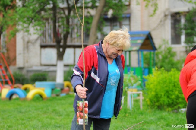 Фруктові дерева і барвистий дитячий майданчик: у Луцьку впорядкували двір. ФОТО