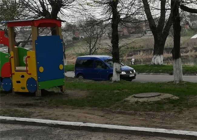 У Нововолинську жінка хотіла позбутися кота, якого сама ж і вкрала. ФОТО