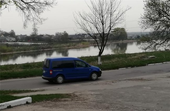 У Нововолинську жінка хотіла позбутися кота, якого сама ж і вкрала. ФОТО