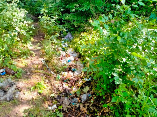 В нацпарку на Волині зібрали пів сотні мішків сміття