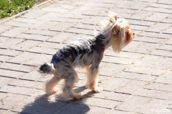 Їх об’єднала легка атлетика. ФОТО