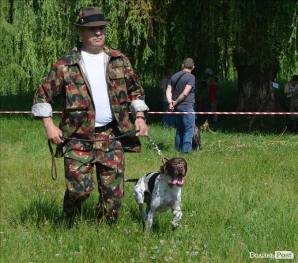 У Луцьку ‒ виставка мисливських собак. ФОТО 