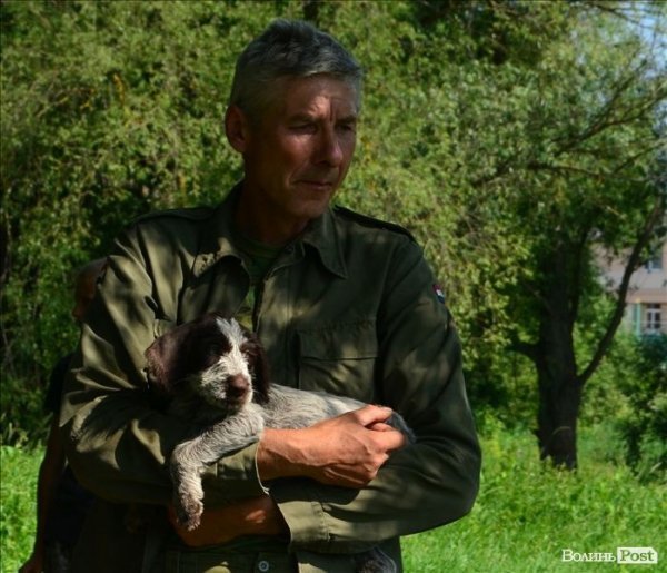 У Луцьку ‒ виставка мисливських собак. ФОТО 