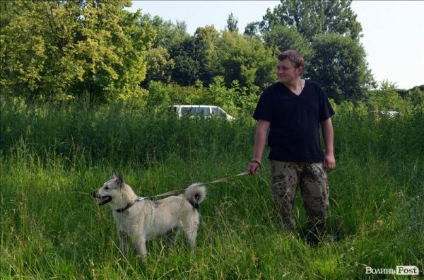 У Луцьку ‒ виставка мисливських собак. ФОТО 