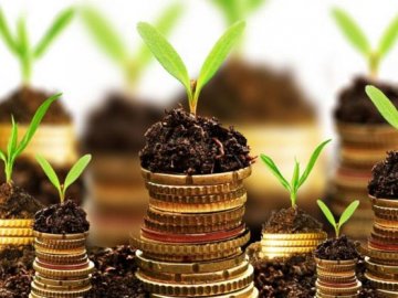 Волинські громади отримали понад 15 мільйонів гривень земельного податку