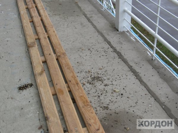 У Любомлі вболівальники загидили стадіон. ФОТО